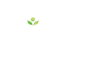 Silea 